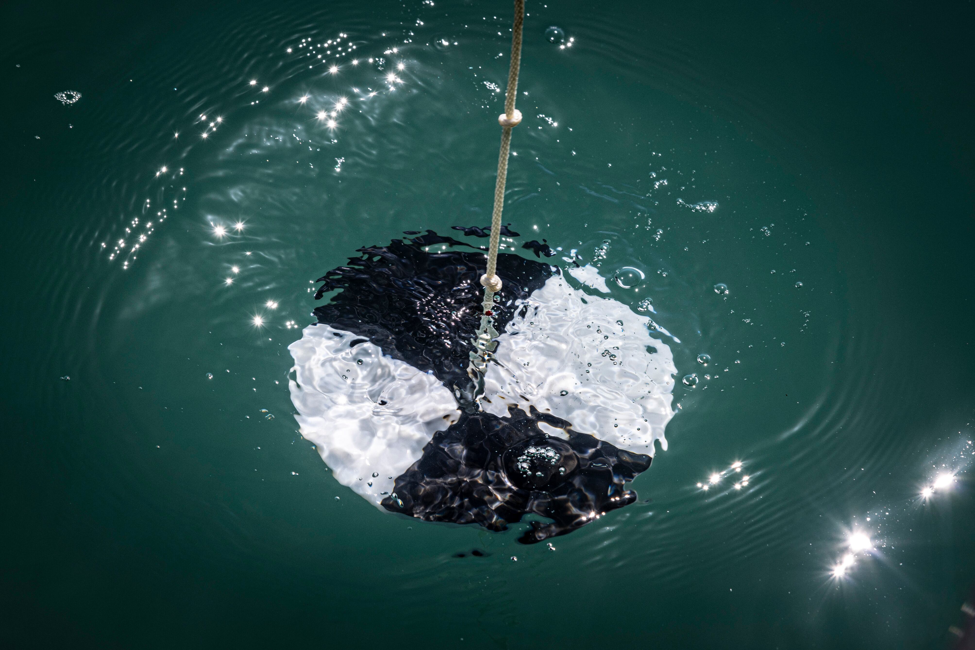 Para comprobar la turbidez del agua, los agentes utilizan un disco secchi. Para ello, miden la profundidad a la que el disco deja de verse.