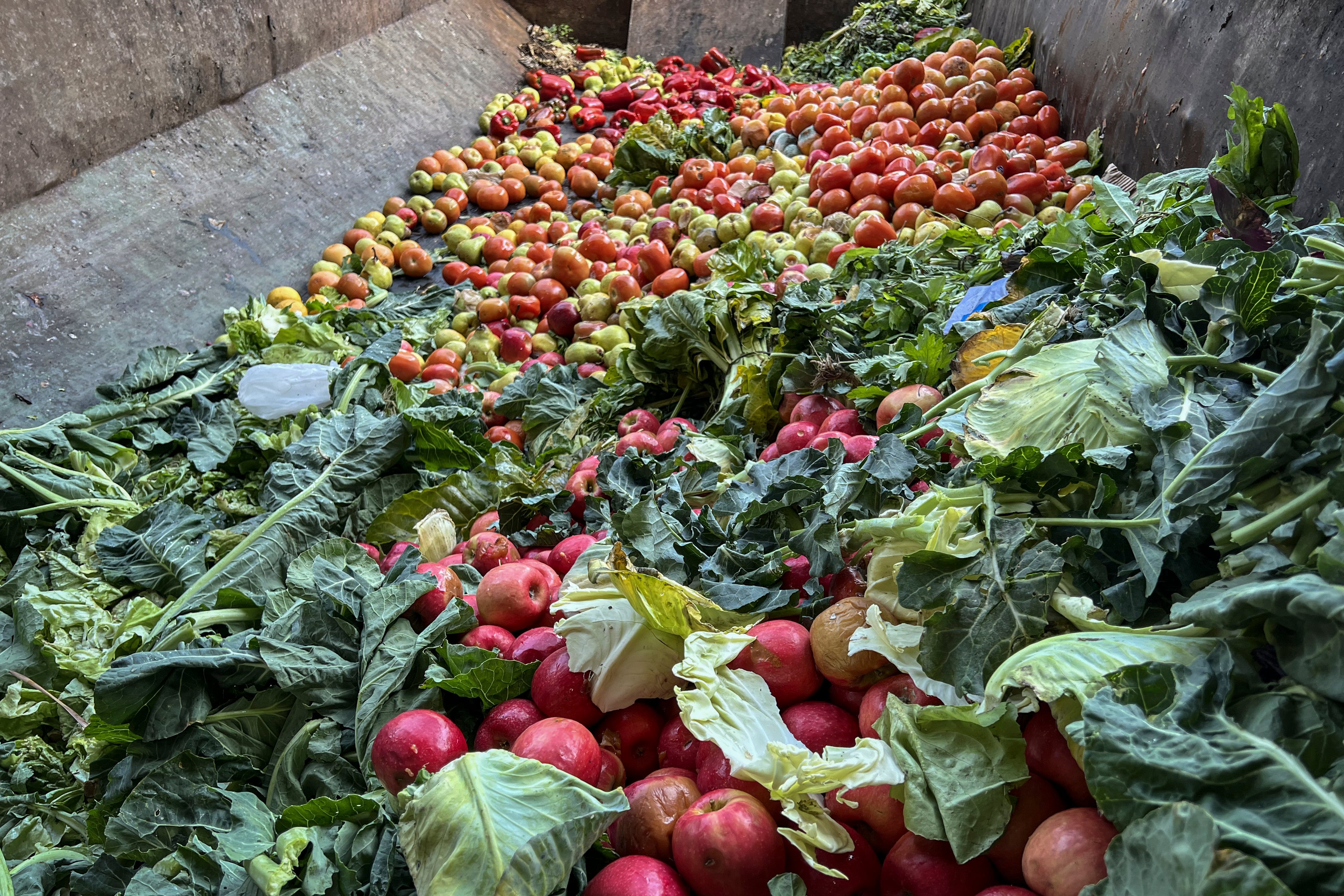 La tecnología es una aliada clave para reducir el desperdicio alimentario