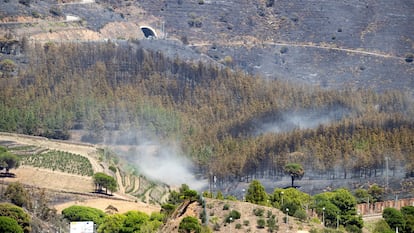 COLERA (GIRONA), 05/08/2023.- Vista de las zonas afectadas por el incendio que comenzó ayer en Portbou (Girona), y que en estos momentos sigue activo. EFE/Marta Pérez
