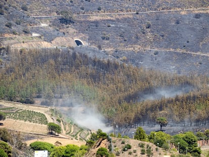 COLERA (GIRONA), 05/08/2023.- Vista de las zonas afectadas por el incendio que comenzó ayer en Portbou (Girona), y que en estos momentos sigue activo. EFE/Marta Pérez
