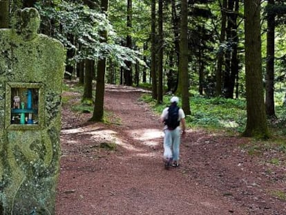 El alerce que puebla los bosques de Millevaches es la base de Ambience Bois, cooperativa autogestionada que hace casas a medida y encarna el sue&ntilde;o socialista. 