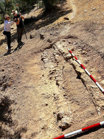 Restos de un tramo de acueducto localizados en un olivar en las inmediaciones de Zahara de la Sierra (Cádiz)