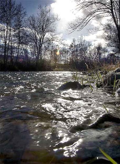 Caudal del río Segre a su paso por Prats i Sansor.