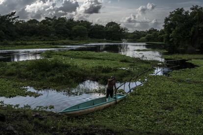 Amurallar Tabasco contra el agua no es la solución al problema, insisten los especialistas. Si no hay una visión de cuenca, incluso trasfronteriza que contemple a Guatemala, las inundaciones seguirán llevando al límite a la marginada frontera sur.