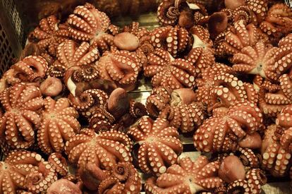 Venta de pulpos en un mercado en Tokio, Jap&oacute;n.
 
 