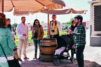 Cata de vinos en Mas Vicenç, en Cabra del Camp.