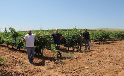 Los cuatro primos Alonso que dirigen la bodega.