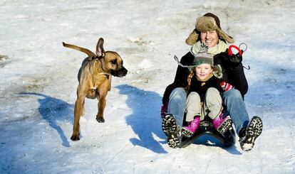 Una família i el seu gos juguen a Drunense Dunes, a Cromvoirt, Holanda.
