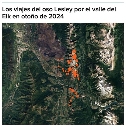Mapa del valle del Elk muestra por dónde deambuló el oso Lesley.