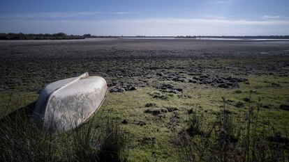 Regadios Doñana