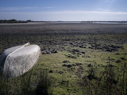 Estado actual de la Laguna de Santa Olalla en el Parque Nacional de Doñana.