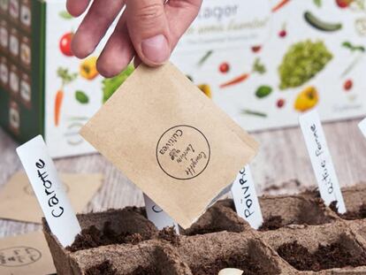 Los sobres incluyen las instrucciones detalladas de cómo plantar y durante cuánto tiempo cada semilla.