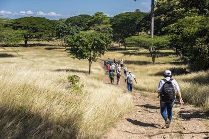 En 11 de los 24 Espacios Territoriales de Capacitación y Reincorporación (ETCR) repartidos por el territorio colombiano hay emprendimientos de turismo similares al de Pondores. Los planes se adaptan a los atractivos de cada región, con actividades como avistamiento de aves, senderismo o  rafting.