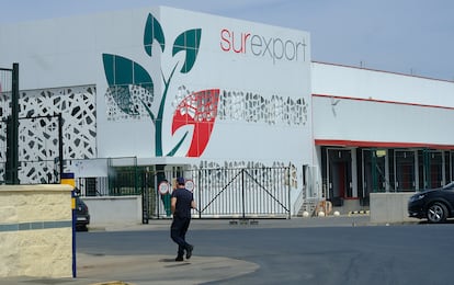 Las instalaciones de la empresa Surexport, el martes. 