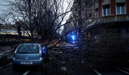 Un coche tras sufrir el impacto de un árbol caído por el fuerte viento en San Sebastián, el 13 de diciembre.