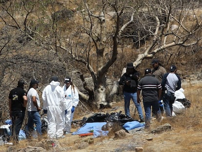 Forenses trabajan en la quebrada en la que se descubrieron varias bolsas con restos humanos en Jalisco, el 2 de junio.