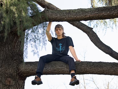 Diego García Vega se encarama a un árbol del madrileño Parque del Oeste.