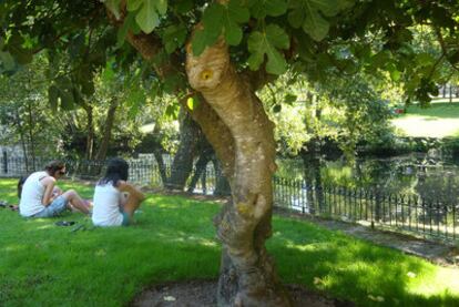 La calma tras las carreras del buey llega en el paseo al borde del río Arnoia