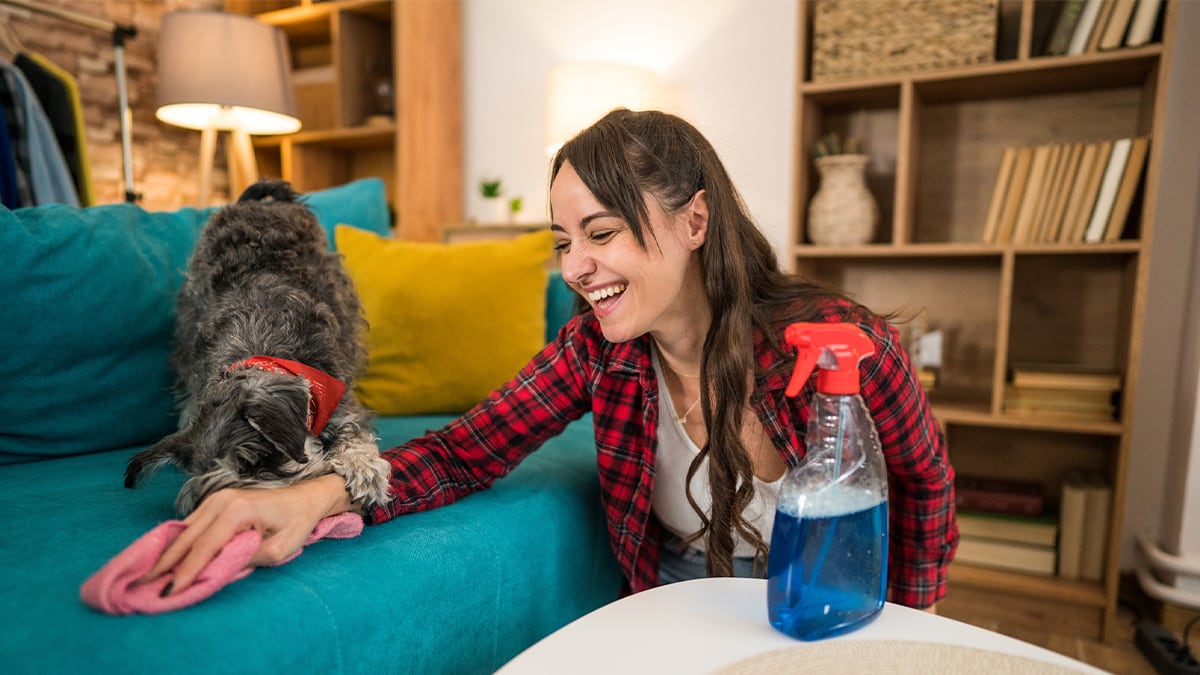 Adiós al mal olor en casa: cómo funcionan los limpiadores enzimáticos para mascotas que&hellip;