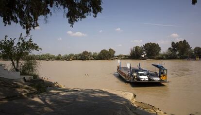 Una barcaza cruza el Guadalquivir en Coria del R&iacute;o, en Sevilla.