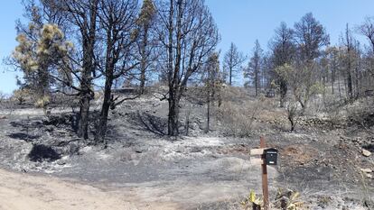 Una de las fincas agrícolas calcinadas por el incendio forestal que afecta a la isla de La Palma, a su paso por el barrio de El Castillo del municipio de Garafía.