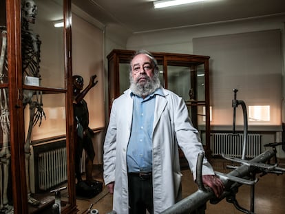 Fermín Viejo Tirado, director del Museo de Anatomía Javier Puerta, en Madrid, junto a un esqueleto atribuido a un soldado napoleónico.