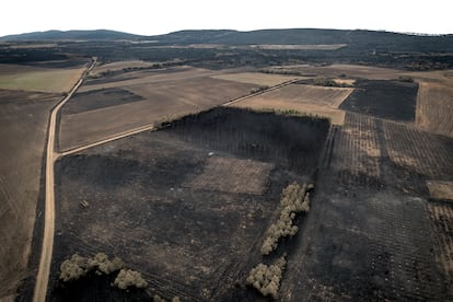 Incendios forestales