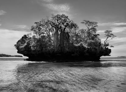 Paisaje en la bahía de Moramba, Madagascar (2010), del proyecto 'Génesis'. 