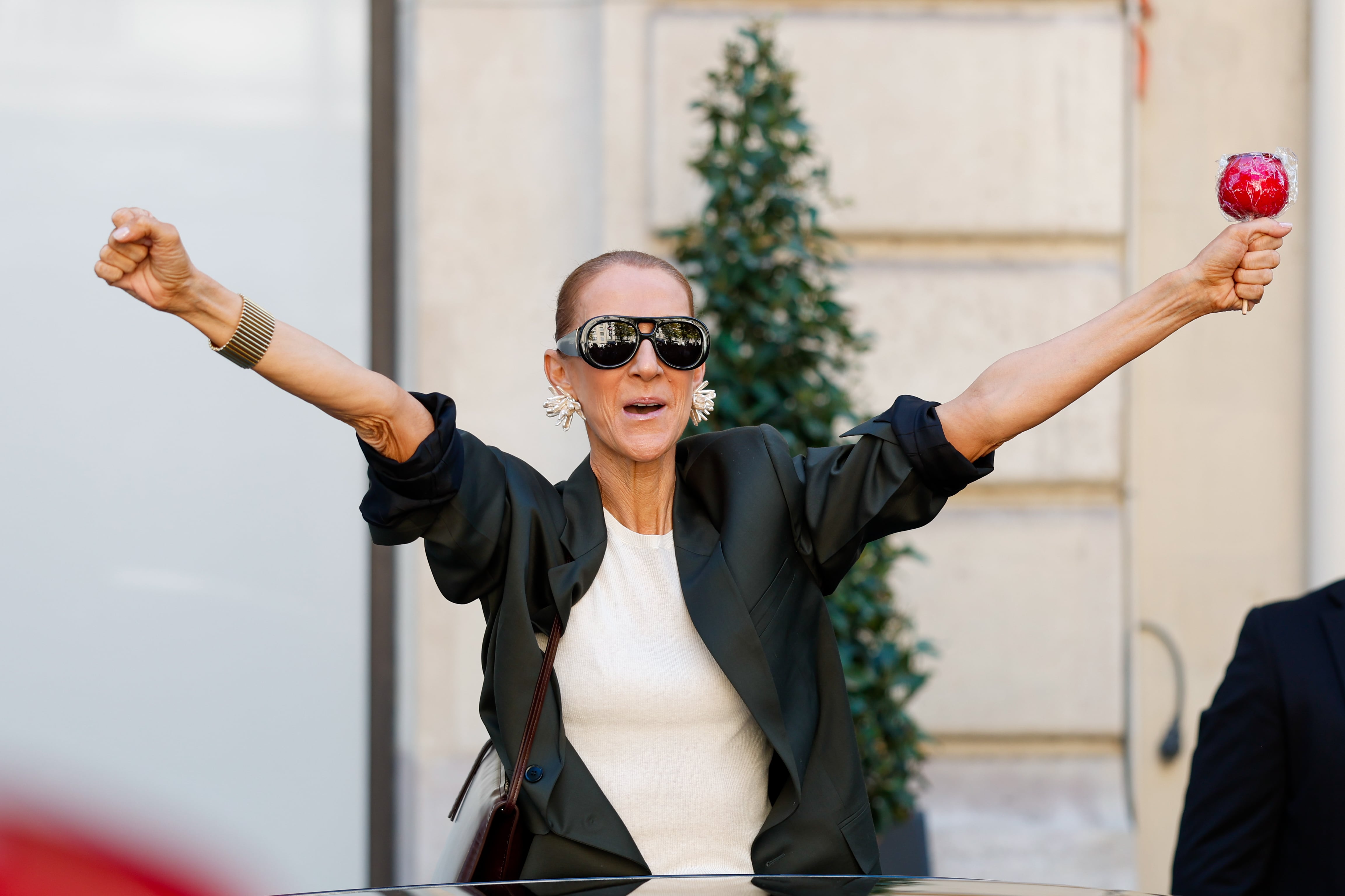 Céline Dion arranca un maratón de 26 conciertos en París