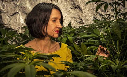 Carola Pérez, president of the Spanish Medicinal Cannabis Observatory cultivating at home.