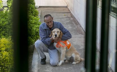 Emilio, un recluso del centro penitenciario Madrid III (Valdemoro), con uno de los perros que cuida, este martes.