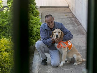 Emilio, un recluso del centro penitenciario Madrid III (Valdemoro), con uno de los perros que cuida, este martes. 