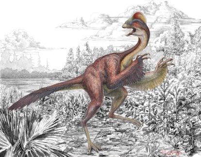 Recreación artística del dinosaurio conocido como "pollo del infierno" o 'Anzu wyliei'.