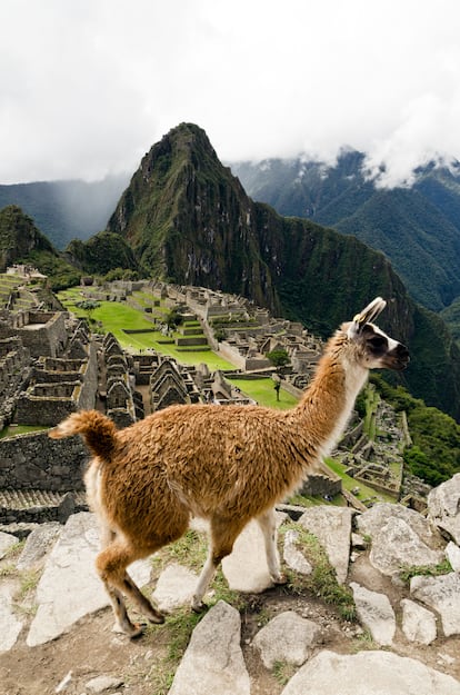 El Machu Picchu es patrimonio de la humanidad por la Unesco desde los años ochenta.