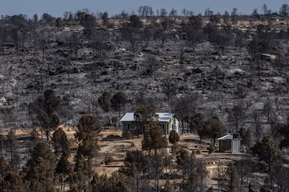 Una casa logra salvarse del incendio forestal en medio de decenas de árboles calcinados. 