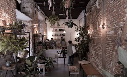 Interior de Plántate Café, en el barrio madrileño de Lavapiés.