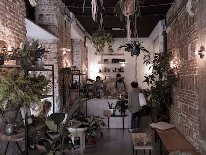 Interior de Plántate Café, en el barrio madrileño de Lavapiés.