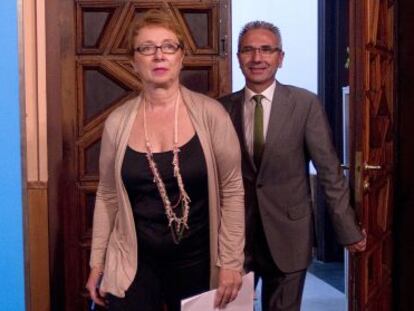 Martínez Aguayo, tras el Consejo de Gobierno de hoy.