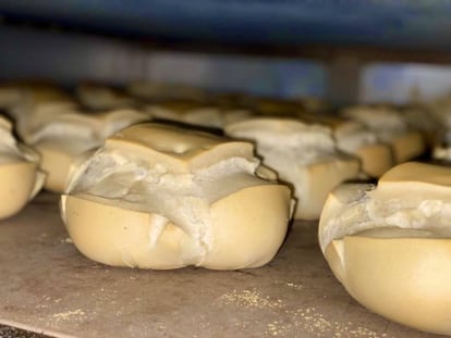 Hogazas en el horno de Panes con Alma (Viena La Baguette).