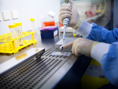 A researcher manipulates samples in a cancer research laboratory.