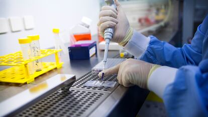 A researcher manipulates samples in a cancer research laboratory.