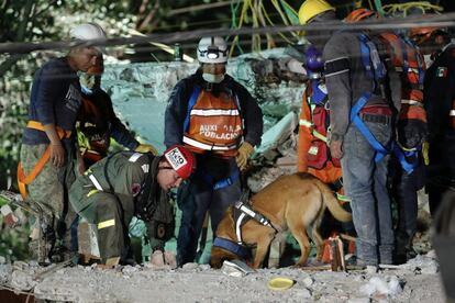 Brigadas de rescate trabajan entre los escombros de un edificio de departamentos en la colonia Taxqueña en Ciudad de México el 22 de septiembre de 2017.