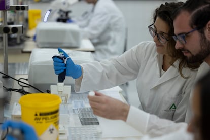 Alumnos en unas prácticas de biomedicina en la Universidad de Sevilla, este lunes.