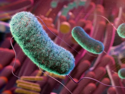 Ilustración conceptual del microbioma intestinal.