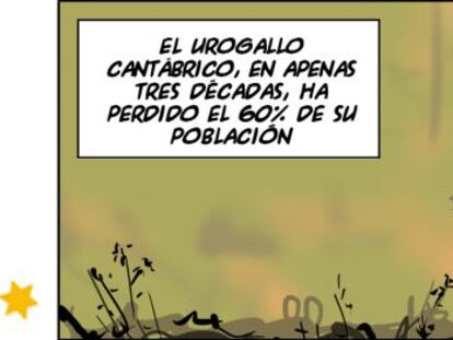 Ramón