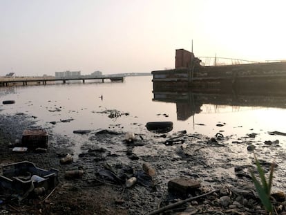 Plásticos y basuras flotando en Bengasi.