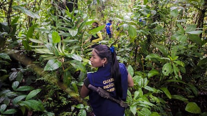 Miembros de la guardia indígena avanzan hacia el último punto en la selva al que pueden llegar sin temor a pisar una mina antipersona.