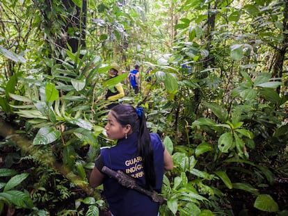 Miembros de la guardia indígena avanzan hacia el último punto en la selva al que pueden llegar sin temor a pisar una mina antipersona.