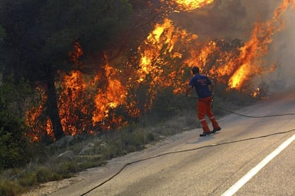 Los bomberos, las brigadas forestales y la Unidad Militar de Emergencias, se enfrentaron a las llamas que carbonizaban una zona declarada de alto valor ecológico. Durante la noche, los medios aéreos se retiraron y se han reincorporado cerca de las siete de la mañana de este jueves.