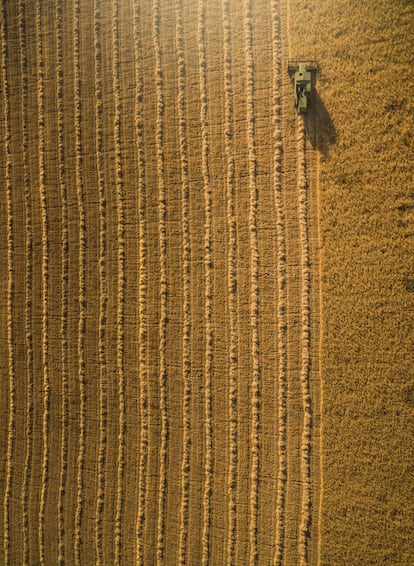 ‘Geometrías sostenibles’ captura desde el cielo un campo de cultivo extensivo de cebada maltera que requiere de pocos fertilizantes, productos sanitarios y combustibles. Además, compite muy bien con las malas hierbas y tiene un ciclo amplio que protege al suelo de la erosión en periodos de lluvia.